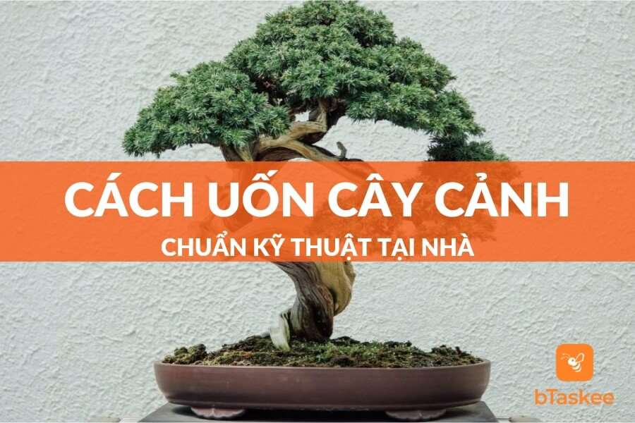 Hướng Dẫn Cách Uốn Cây Cảnh Chuẩn Kỹ Thuật Tại Nhà