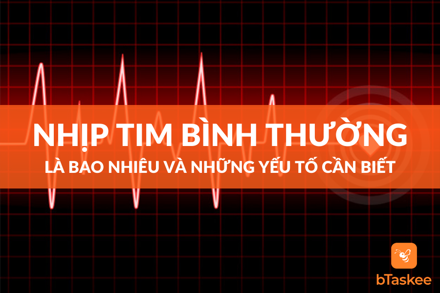 Nhịp Tim Bình Thường Và Những Yếu Tố Cần Biết