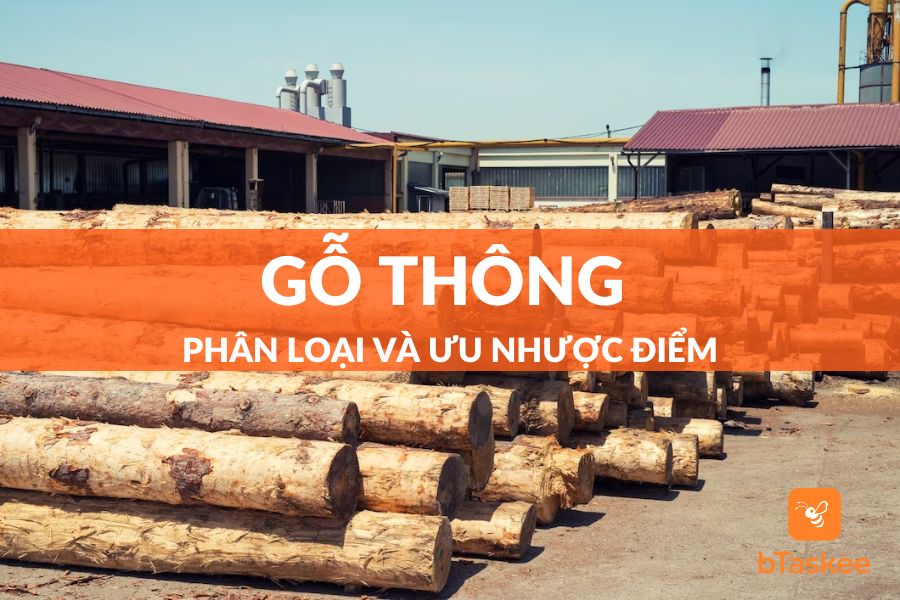 Tất Tần Tật Về Gỗ Thông Và Những Điều Bạn Cần Biết