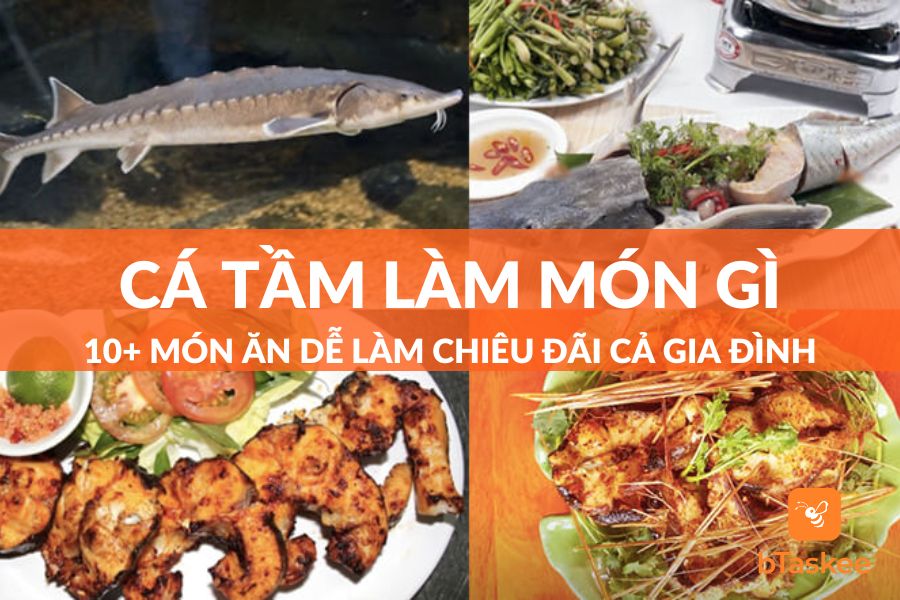 Cá Tầm Làm Món Gì Ngon Dễ Làm Để Chiêu Đãi Cả Gia Đình?
