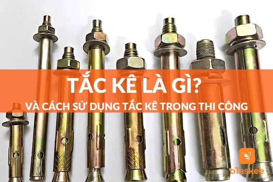 Tắc Kê Là Gì? Các Loại Tắc Kê Phổ Biến Nhất Hiện Nay