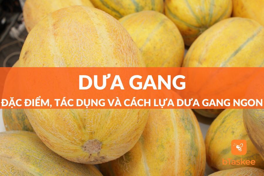 Dưa Gang: Đặc Điểm, Tác Dụng Và Cách Chọn Mua Dưa Gang Ngon
