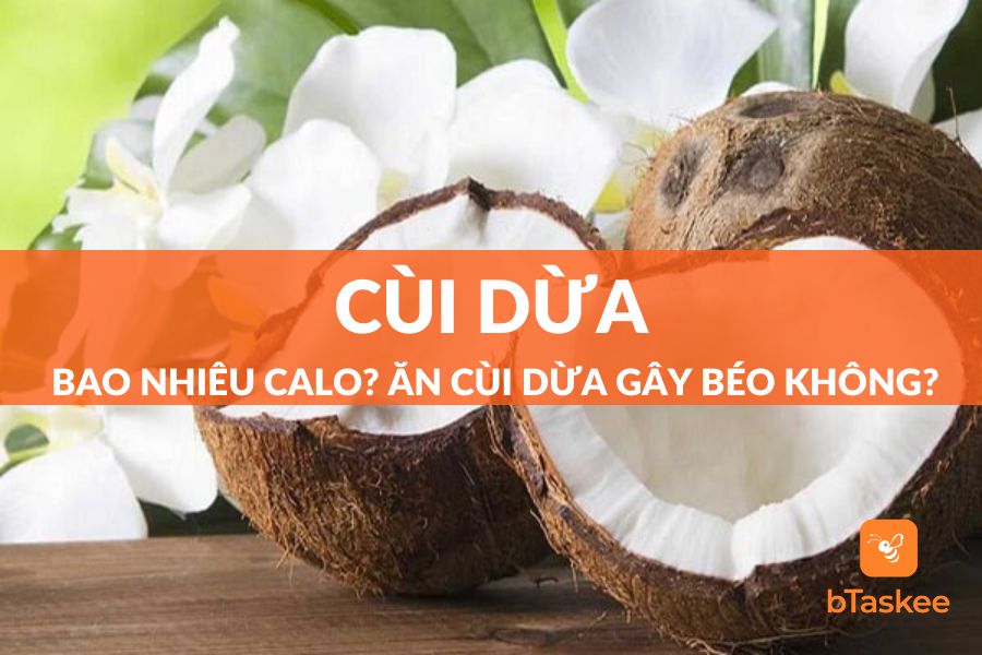 Cùi Dừa Bao Nhiêu Calo? Ăn Nhiều Cùi Dừa Có Mập (Béo) Không?