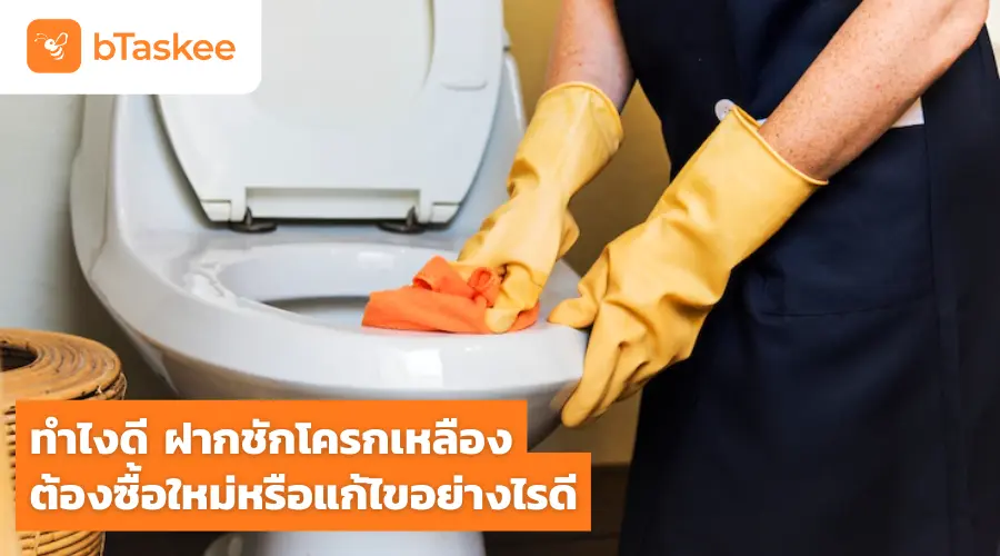 ทำไงดี ฝากชักโครกเหลือง ต้องซื้อใหม่หรือแก้ไขอย่างไรดี