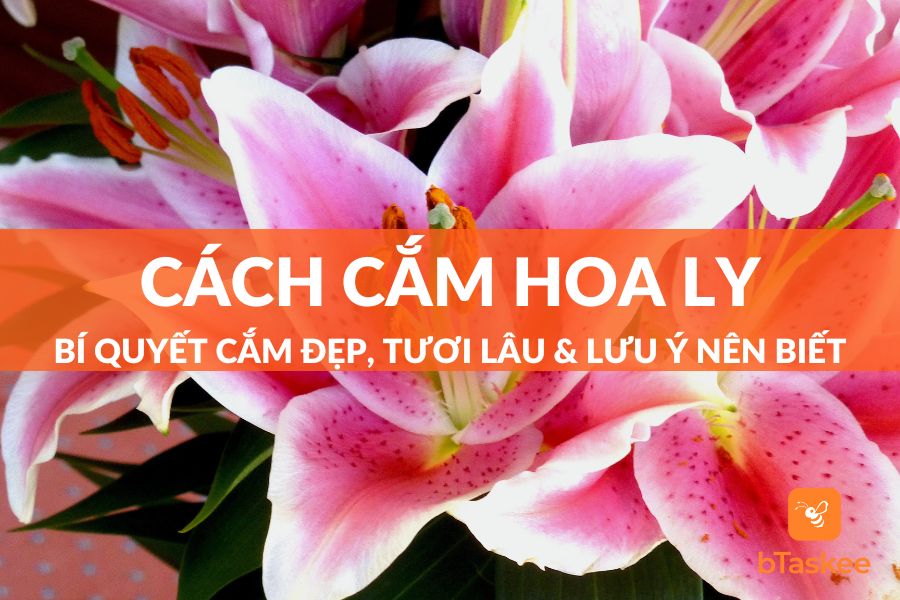 Cách Cắm Hoa Ly Đẹp, Tươi Lâu Và 5 Lưu Ý Cần Biết