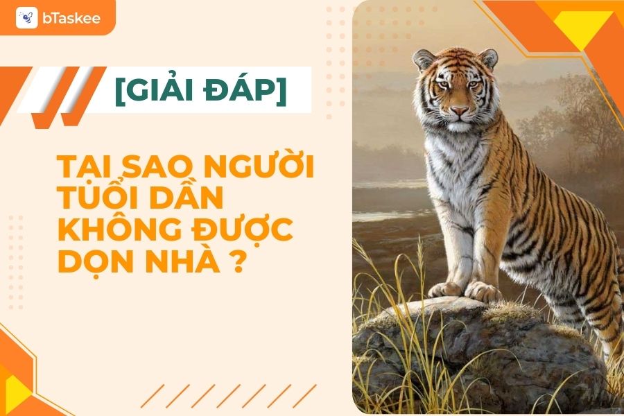 [Giải Đáp] Tại Sao Người Tuổi Dần Không Được Phụ Dọn Nhà?