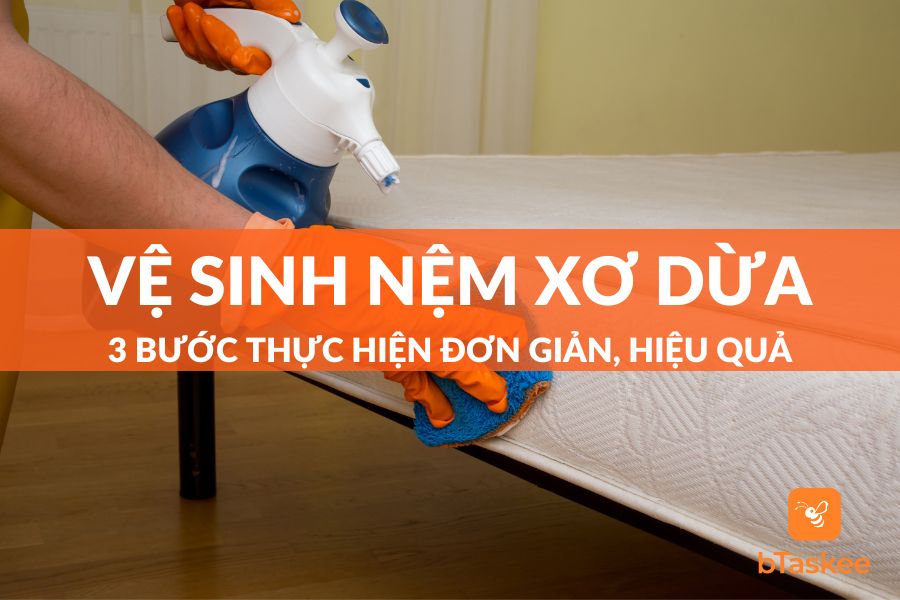 Cách Vệ Sinh Nệm Xơ Dừa: 3 Bước Thực Hiện Sạch Nhanh