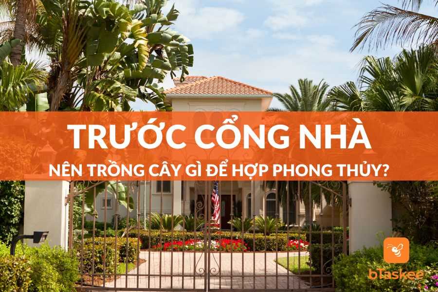 Trước Cổng Nhà Nên Trồng Cây Gì Vừa Đẹp, Vừa May Mắn?