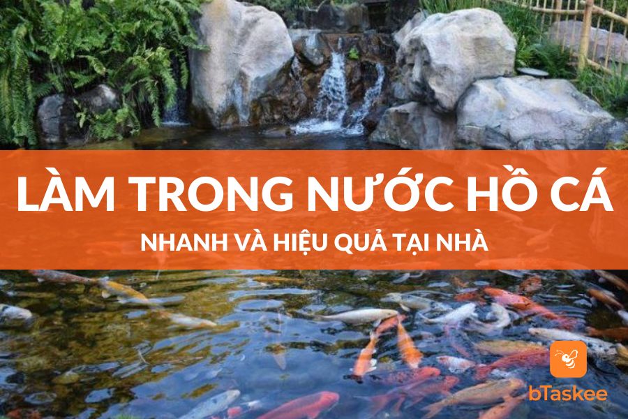 Cách Làm Trong Nước Hồ Cá Ngoài Trời Tại Nhà Hiệu Quả