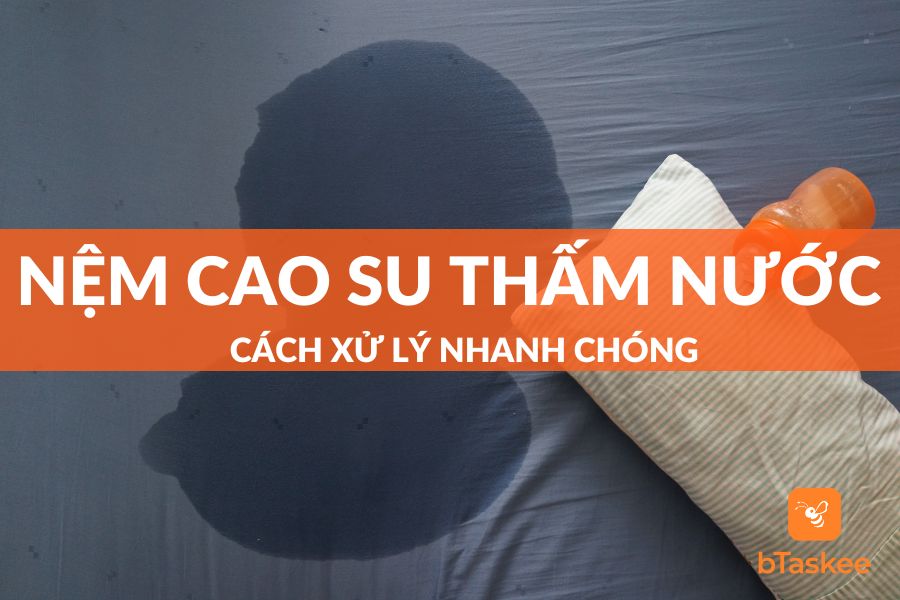 Nệm Cao Su Có Thấm Nước Không? 5 Bước Xử Lý Nệm