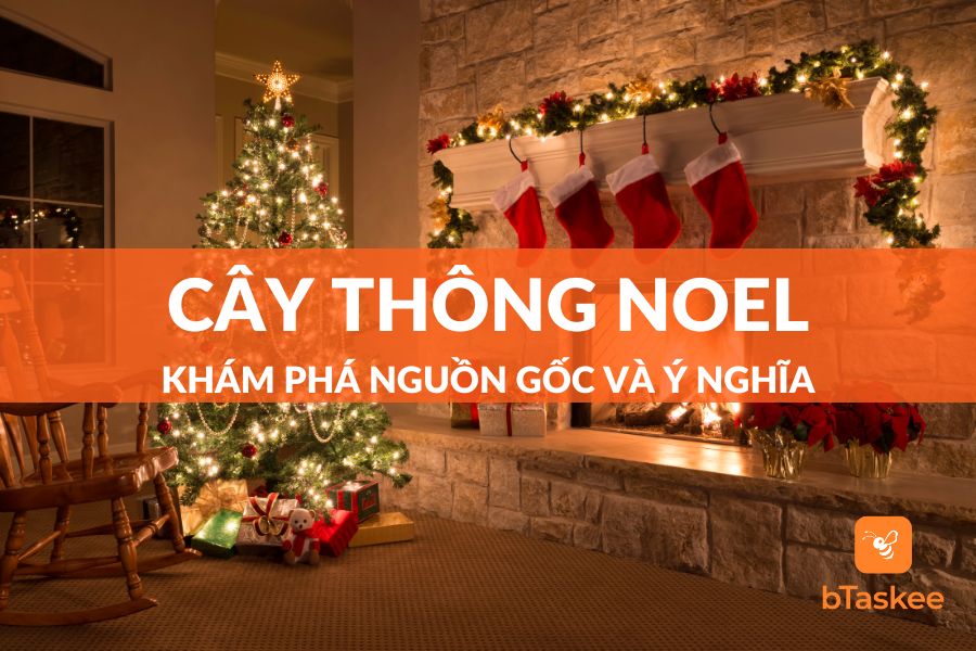 [A-Z] Nguồn Gốc Và Ý Nghĩa Cây Thông Noel (Cây Giáng Sinh) Chi Tiết