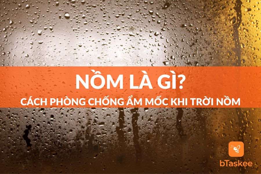 Nồm Là Gì? Cách Bảo Vệ Sức Khỏe Khi Thời Tiết Nồm Ẩm
