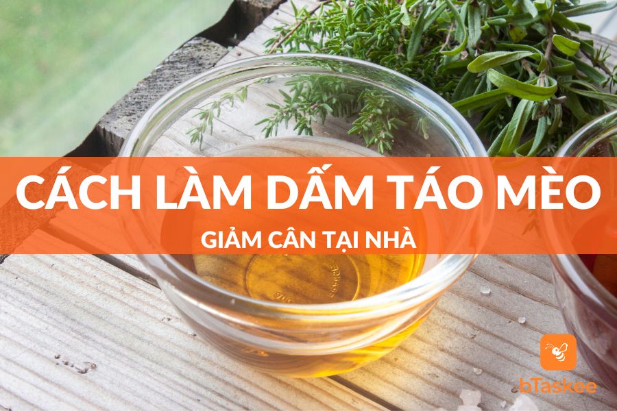Cách Làm Giấm Táo Mèo Giảm Cân Đơn Giản Ngay Tại Nhà