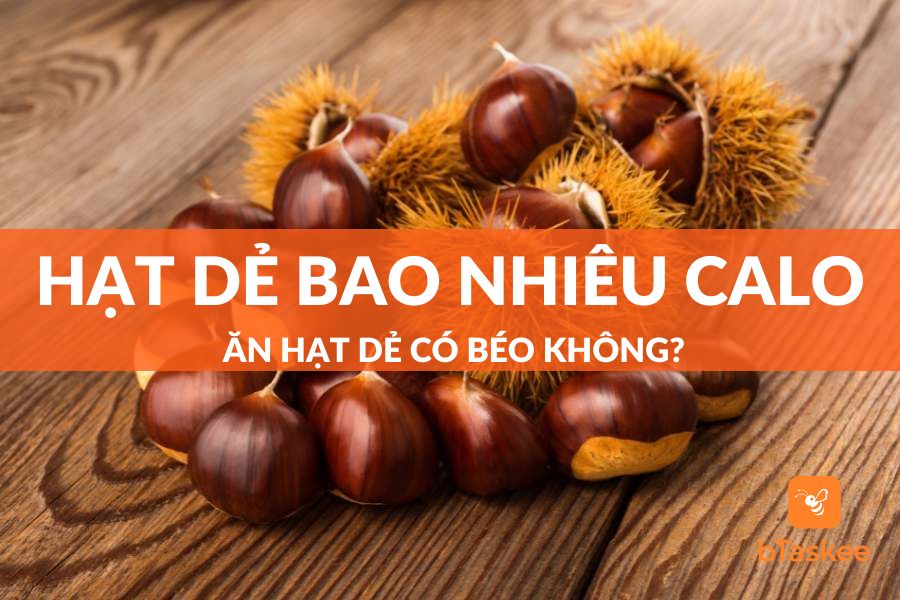 Hạt Dẻ Bao Nhiêu Calo? Ăn Hạt Dẻ Nhiều Có Mập (Béo) Không?