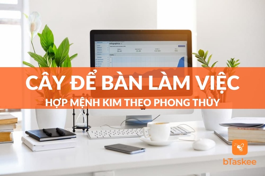 Top 10 Cây Để Bàn Làm Việc Hợp Mệnh Kim Theo Phong Thuỷ