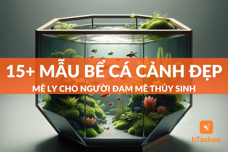 15+ Mẫu Bể Cá Cảnh Đẹp Mê Ly Cho Người Mê Thủy Sinh