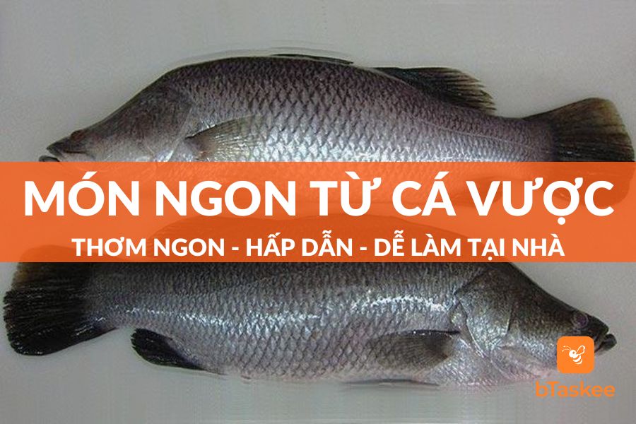 Cá Vược Làm Món Gì Ngon? Top 11 Món Ngon Từ Cá Vược