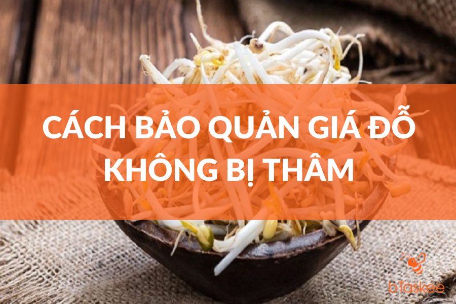 Cách Bảo Quản Giá Đỗ Không Bị Thâm, Luôn Tươi Ngon