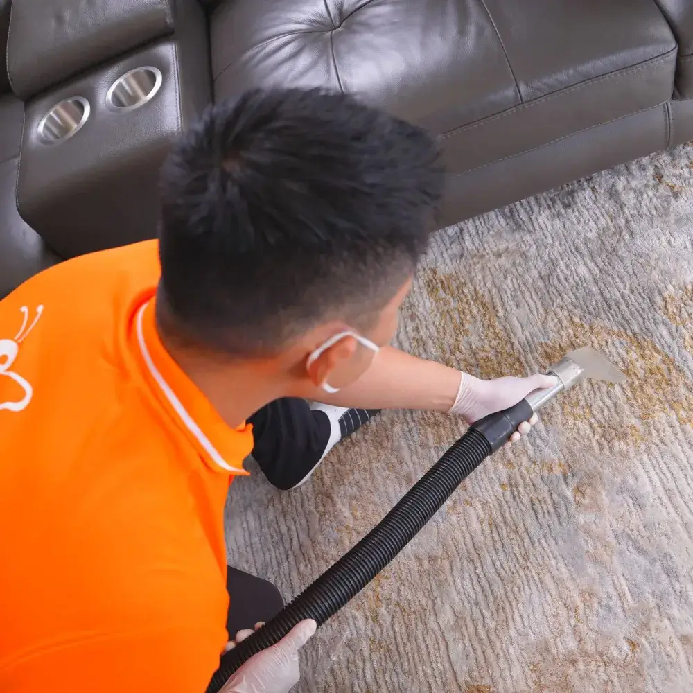 Office Carpet Cleaning Process