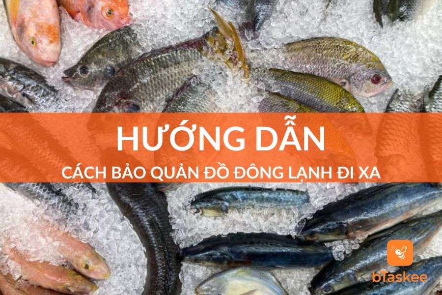 Cách Bảo Quản Đồ Đông Lạnh Đi Xa Và Câu Hỏi Thường Gặp