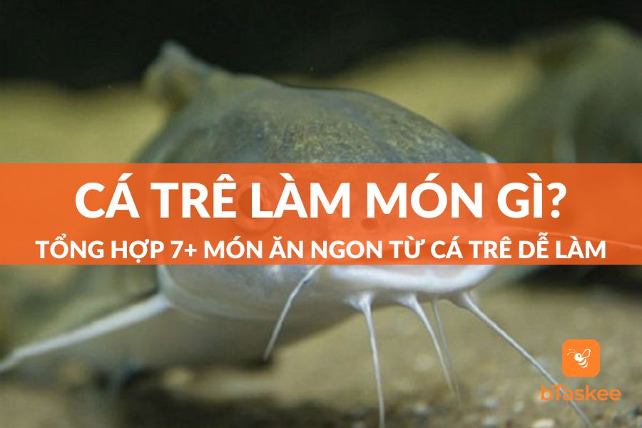 Cá Trê Làm Món Gì Ngon? Tổng Hợp 7+ Món Ăn Ngon Dễ Làm