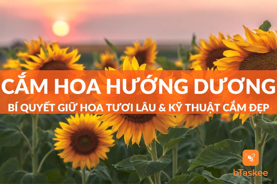 Cách Cắm Hoa Hướng Dương &amp; Bí Quyết Giữ Hoa Tươi Lâu