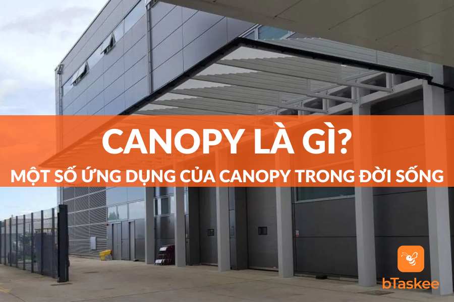 Canopy Là Gì? Một Số Ứng Dụng Của Canopy Trong Đời Sống