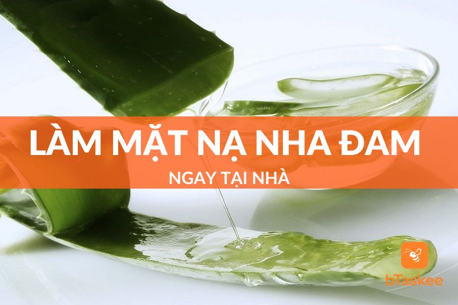 Top 9 Cách Làm Mặt Nạ Nha Đam Trị Mụn Tại Nhà Hiệu Quả Nhất