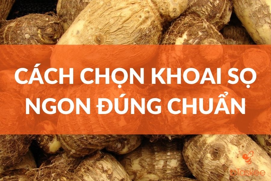 Cách Chọn Khoai Sọ Ngon Đúng Chuẩn