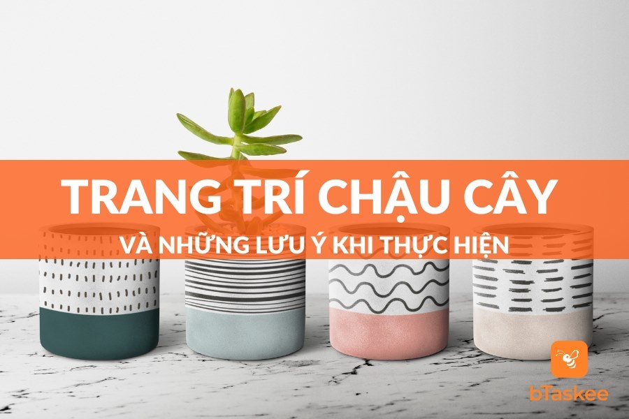 Các Cách Trang Trí Chậu Cây Và Những Lưu Ý Khi Thực Hiện