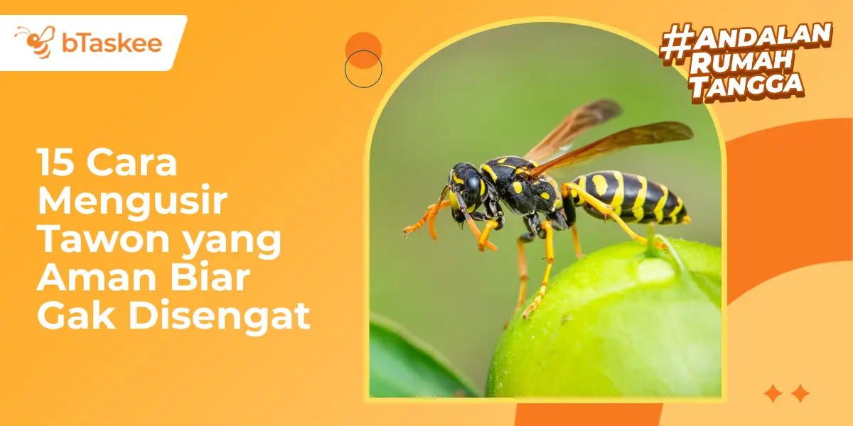 15 Cara Mengusir Tawon yang Aman Biar Gak Disengat