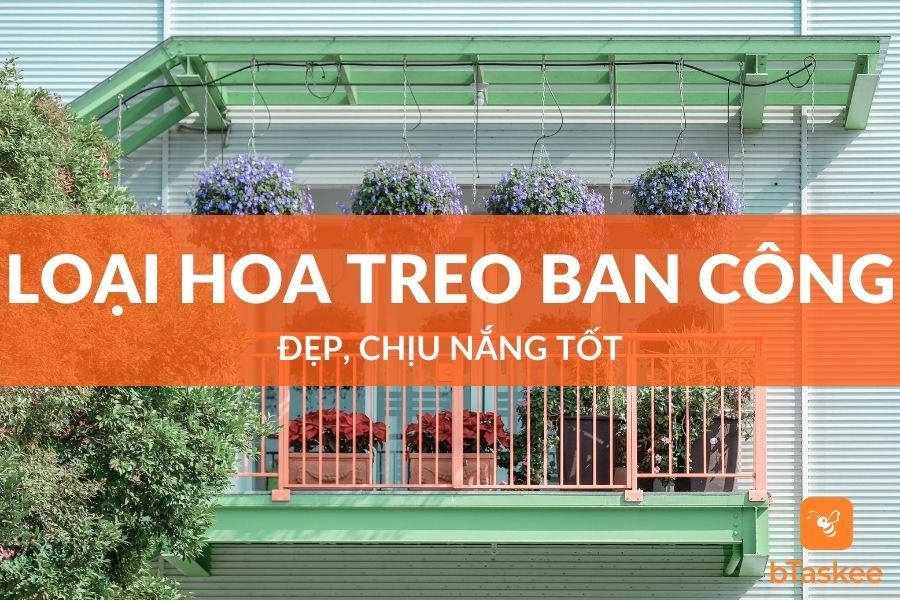 Các Loại Hoa Treo Ban Công Đẹp, Chịu Nắng Tốt Nhất