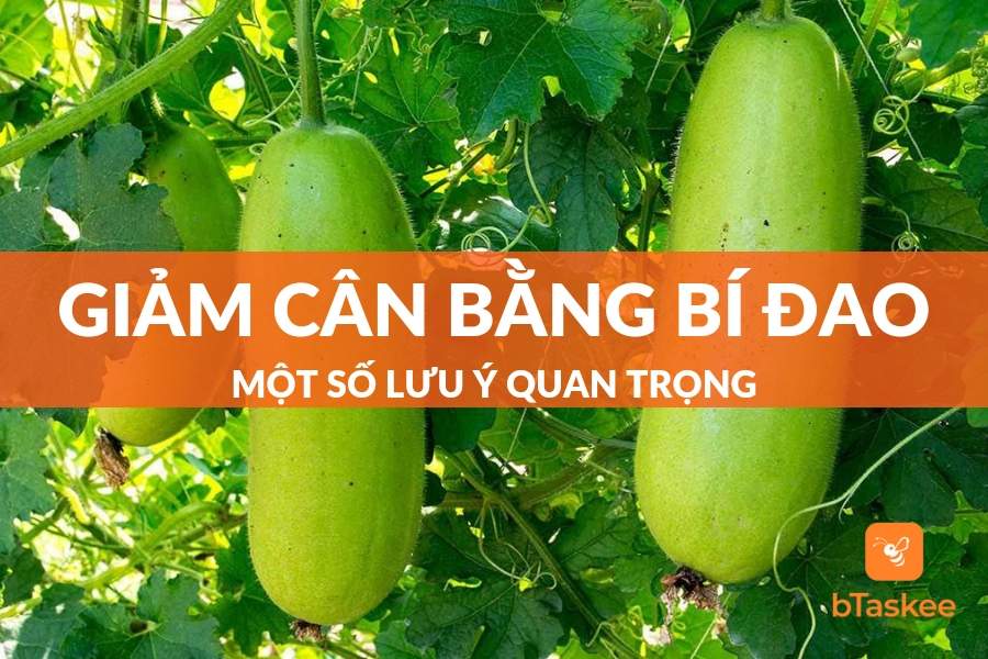 Giảm Cân Bằng Bí Đao Có Thực Sự Hiệu Quả? Cách Sử Dụng Ra Sao?