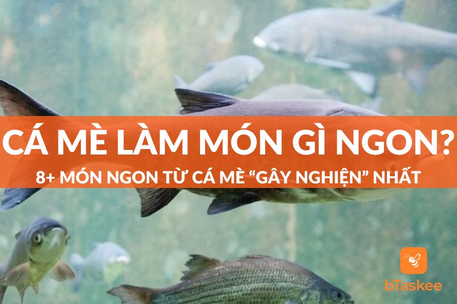 Cá Mè Làm Món Gì Ngon? 8+ Món Ngon Từ Cá Mè "Gây Nghiện" Nhất