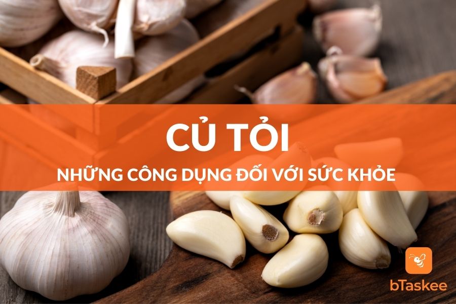 Củ Tỏi Và Những Công Dụng Đối Với Sức Khỏe