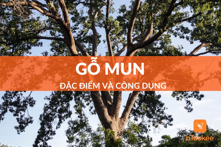 Gỗ Mun Có Những Loại Nào, Sử Dụng Ra Sao?