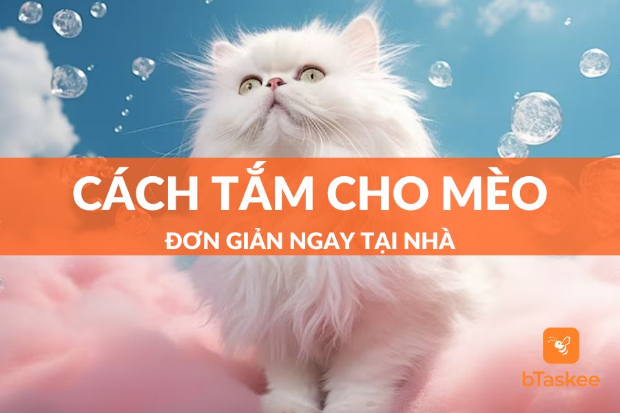 Hướng Dẫn Cách Tắm Cho Mèo Sợ Nước Cực Đơn Giản