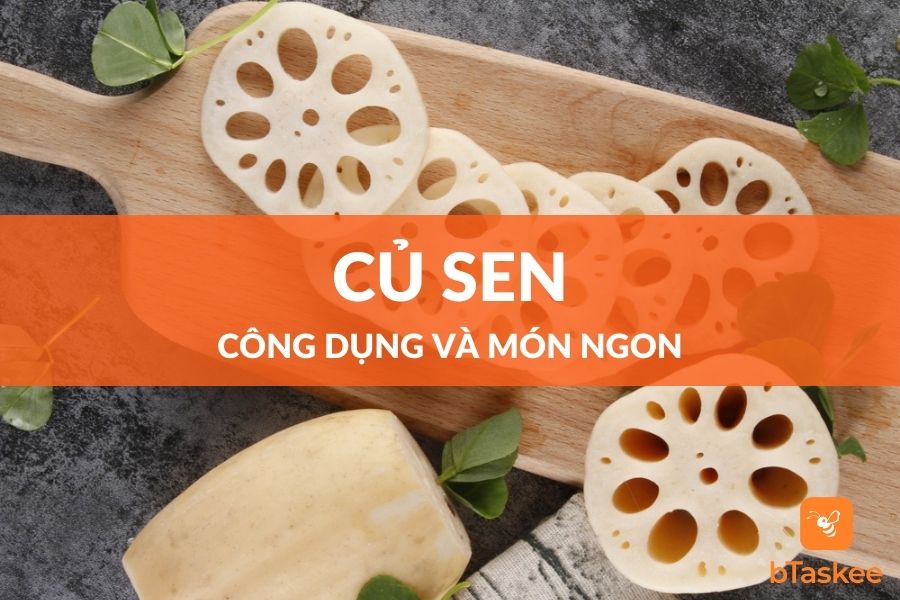 9 Công Dụng Của Củ Sen Đối Với Sức Khỏe Và Các Món Ngon
