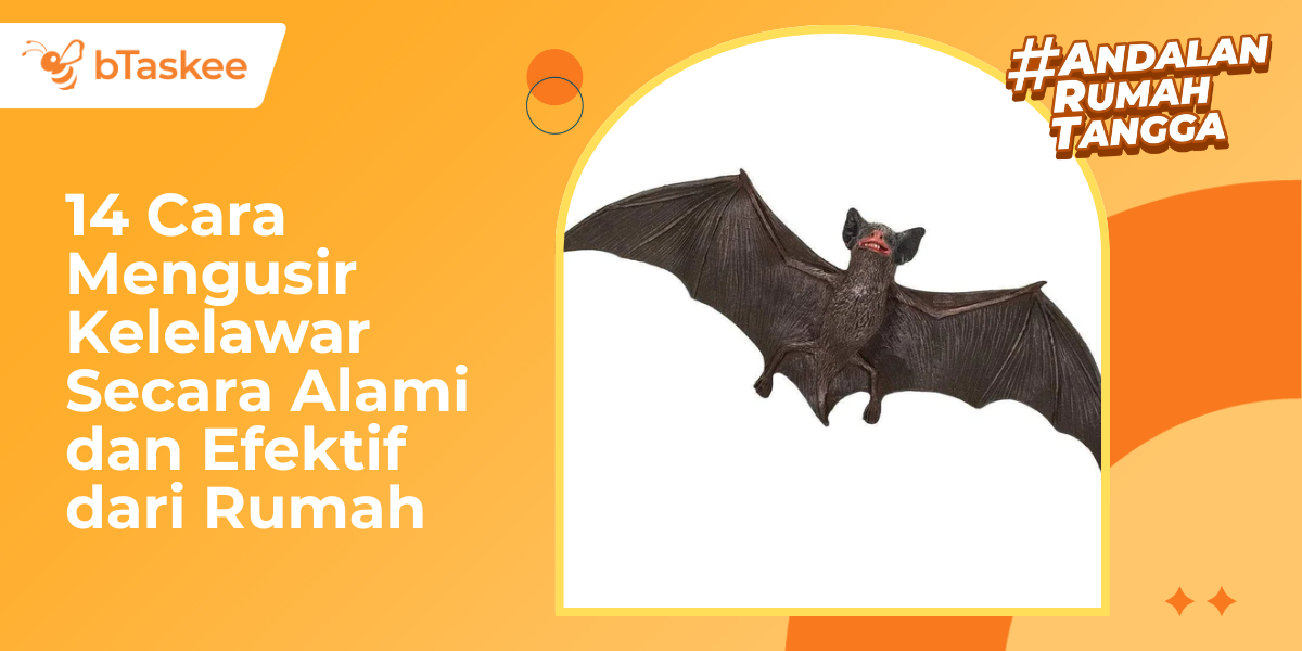 14 Cara Mengusir Kelelawar Secara Alami &amp; Efektif dari Rumah