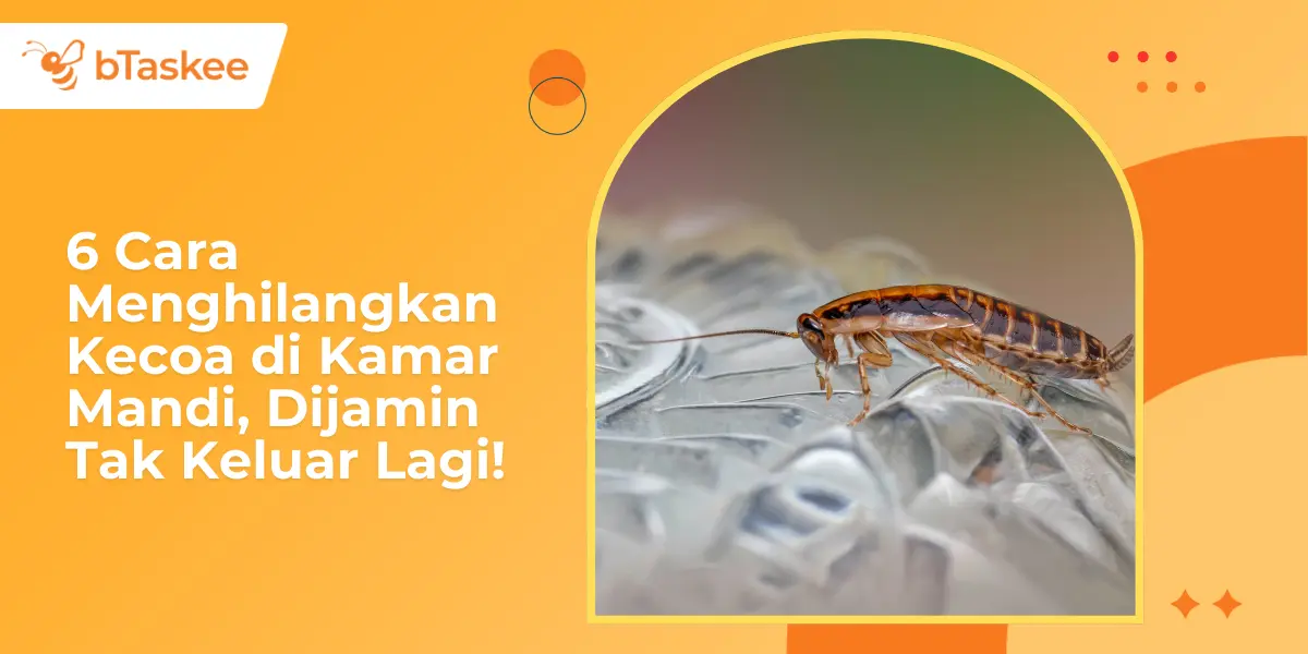 6 Cara Menghilangkan Kecoa di Kamar Mandi, Dijamin Tak Keluar Lagi!