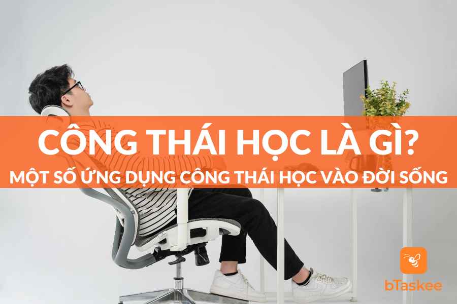 Công Thái Học Là Gì? Các Lĩnh Vực Áp Dụng Công Thái Học