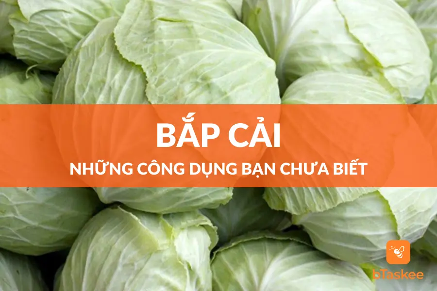 Bắp Cải: Những Công Dụng Mà Bạn Chưa Biết