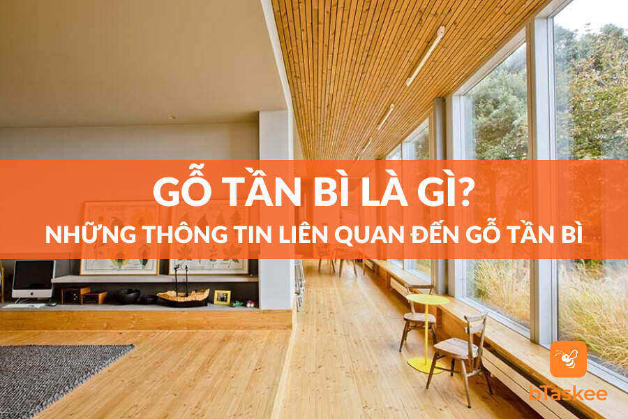Gỗ Tần Bì - Tất Tần Tật Về Đặc Điểm Và Tính Năng Ưu Việt
