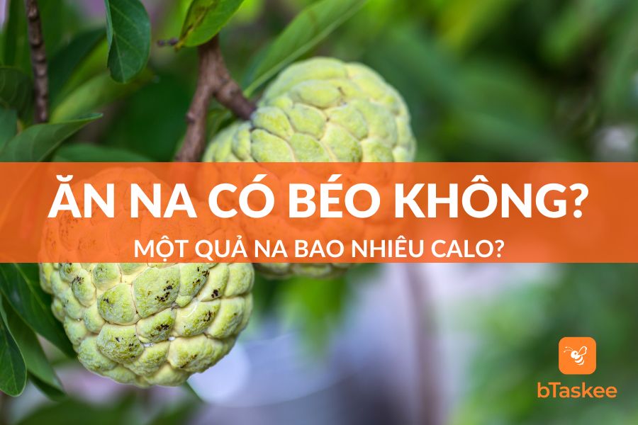 [Giải Đáp] Ăn Na Có Béo Không? 1 Quả Na Bao Nhiêu Calo?