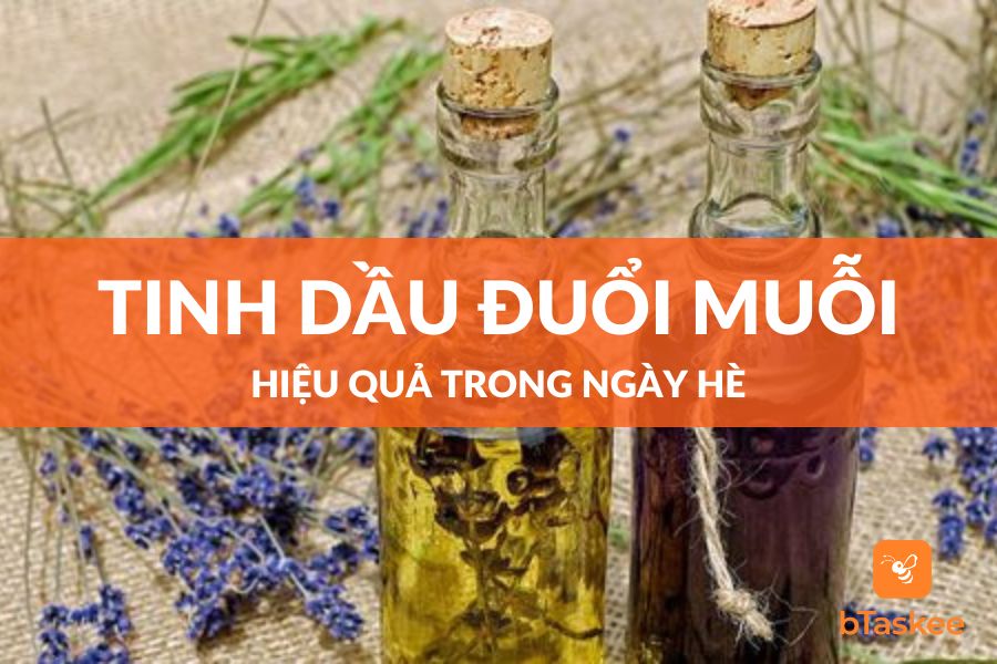 Các Loại Tinh Dầu Đuổi Muỗi Và Côn Trùng Hiệu Quả Trong Ngày Hè