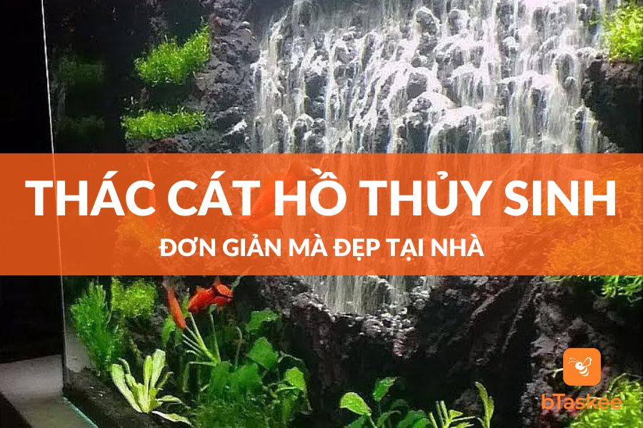 Cách Làm Thác Cát Hồ Thủy Sinh Đơn Giản Mà Đẹp