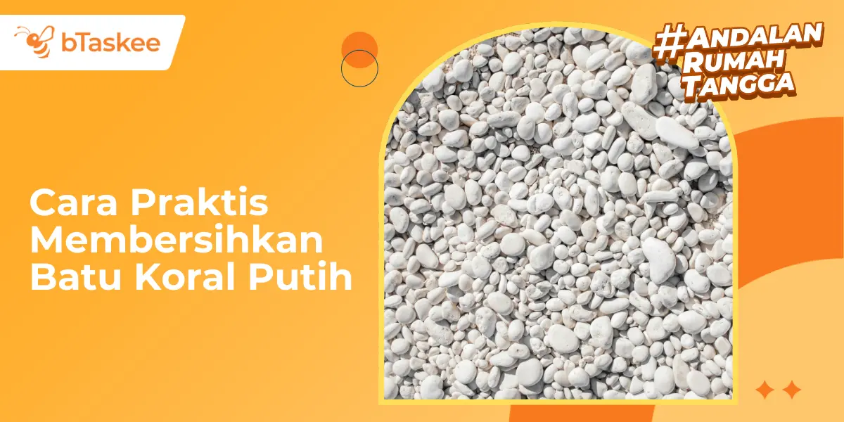 Cara Praktis Membersihkan Batu Koral Putih dari Lumut &amp; Kotoran