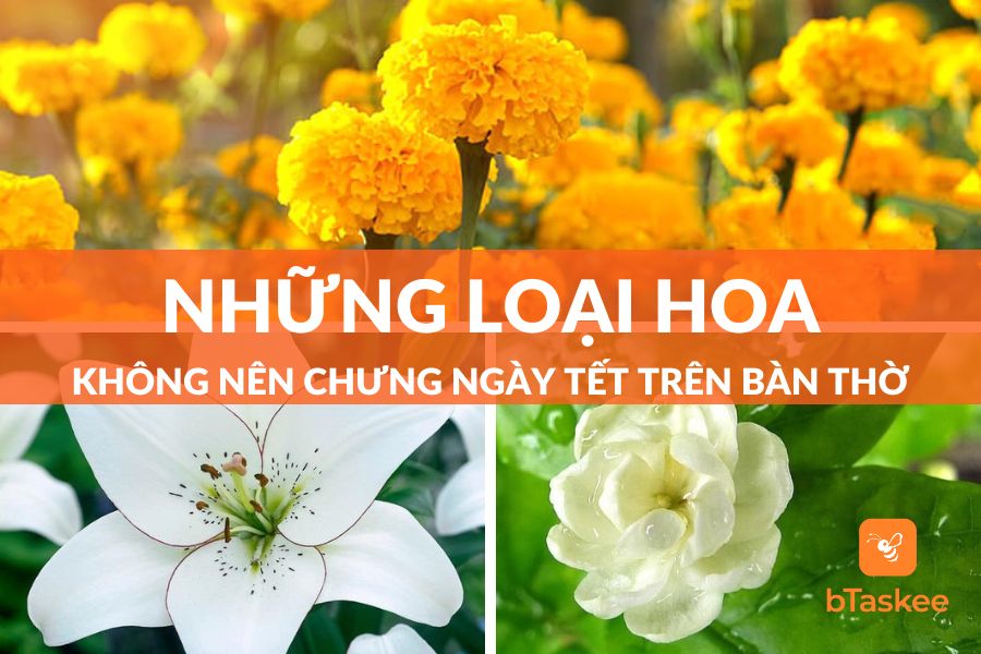 Những Loại Hoa Không Nên Chưng Ngày Tết Nhất Định Bạn Phải Biết