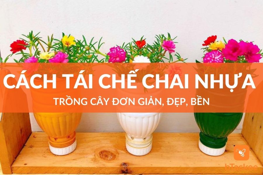 Cách Tái Chế Chai Nhựa Trồng Cây Đơn Giản, Đẹp, Bền