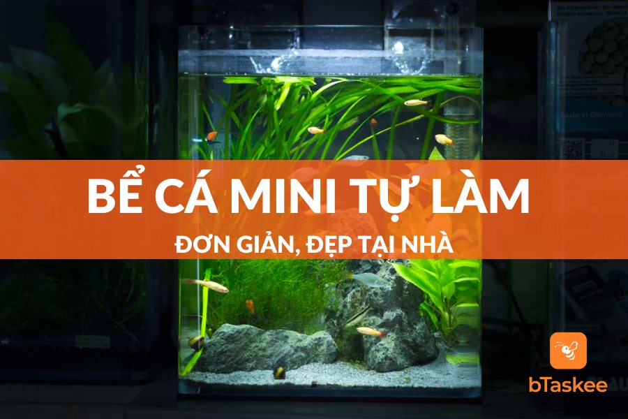 Setup Bể Cá Mini Tự Làm Đơn Giản, Đẹp Tại Nhà